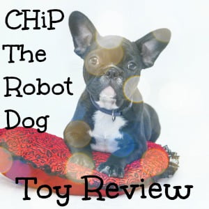 Chip The Robot Dog Review - Why he's lovable and now is the time to buy him